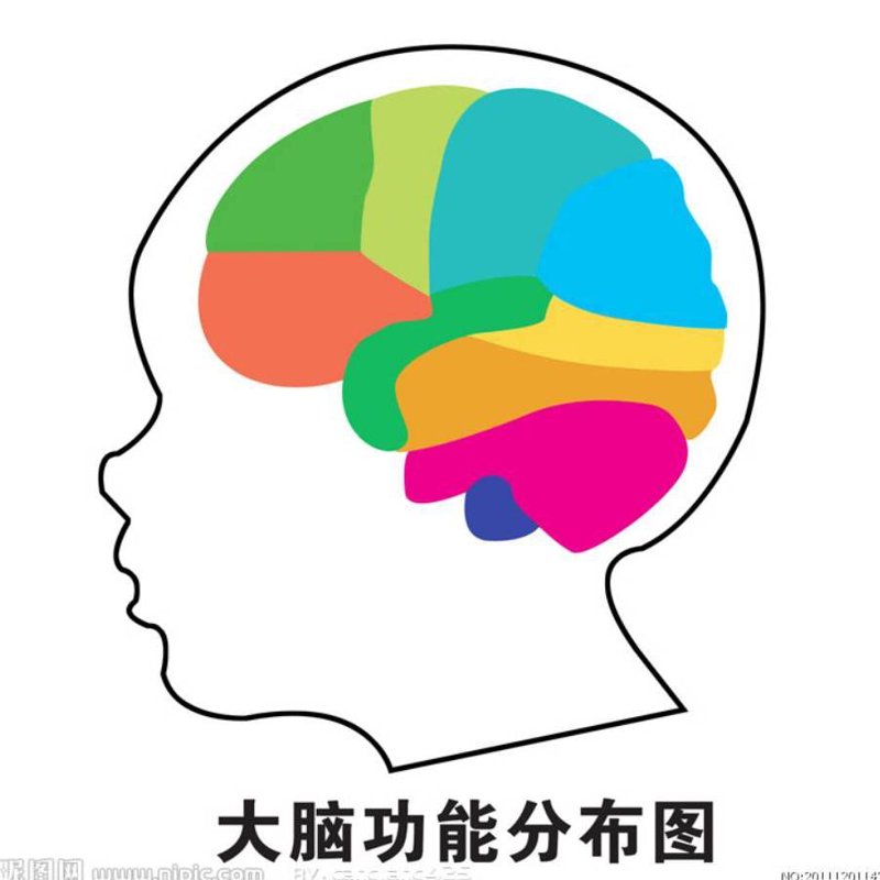 北京金豆豆幼儿园招聘:寻找未来教育的守护者