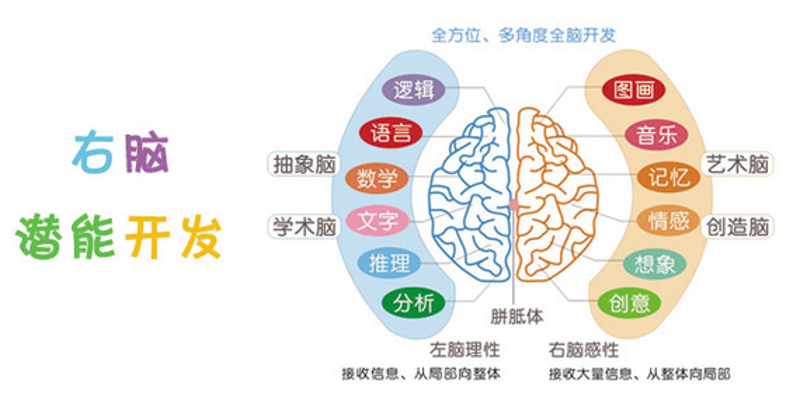 北京金豆豆幼儿园招聘:开启童年的美好旅程